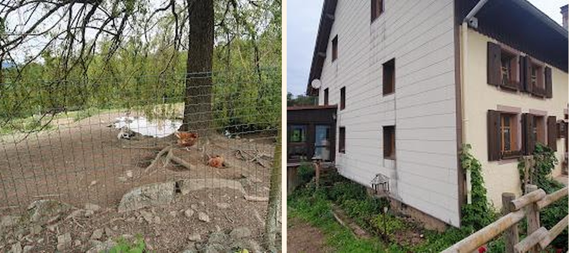 Ferme auberge du Promont - Gallery Image 5